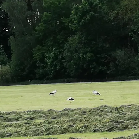 „an Der Olen Au“ Tonnhausen